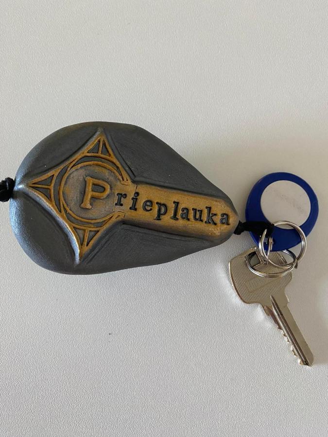 アリートゥス Rezidencija "Prieplauka"ホステル エクステリア 写真